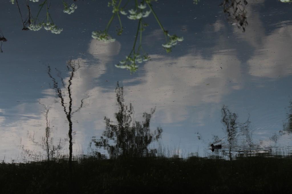 foto omschr 1